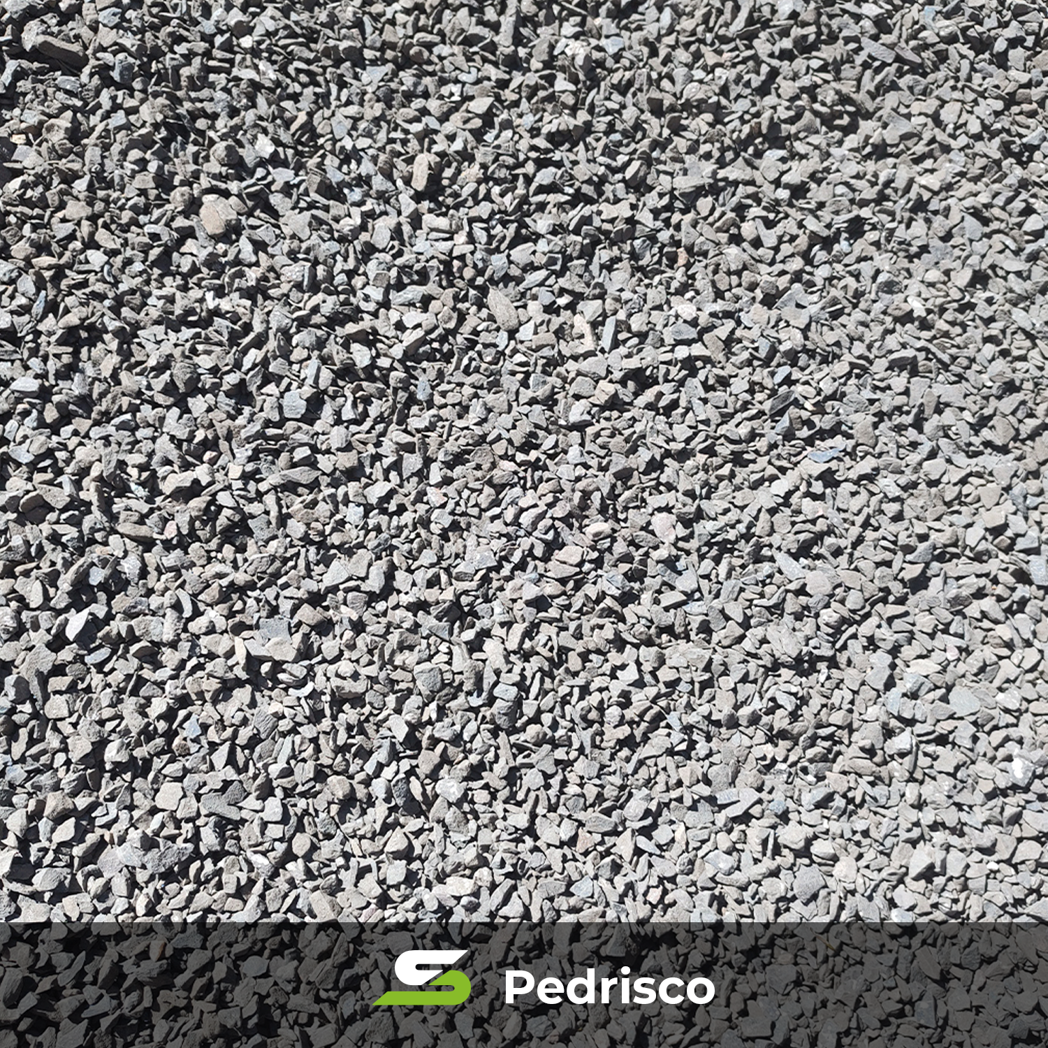 Pedrisco